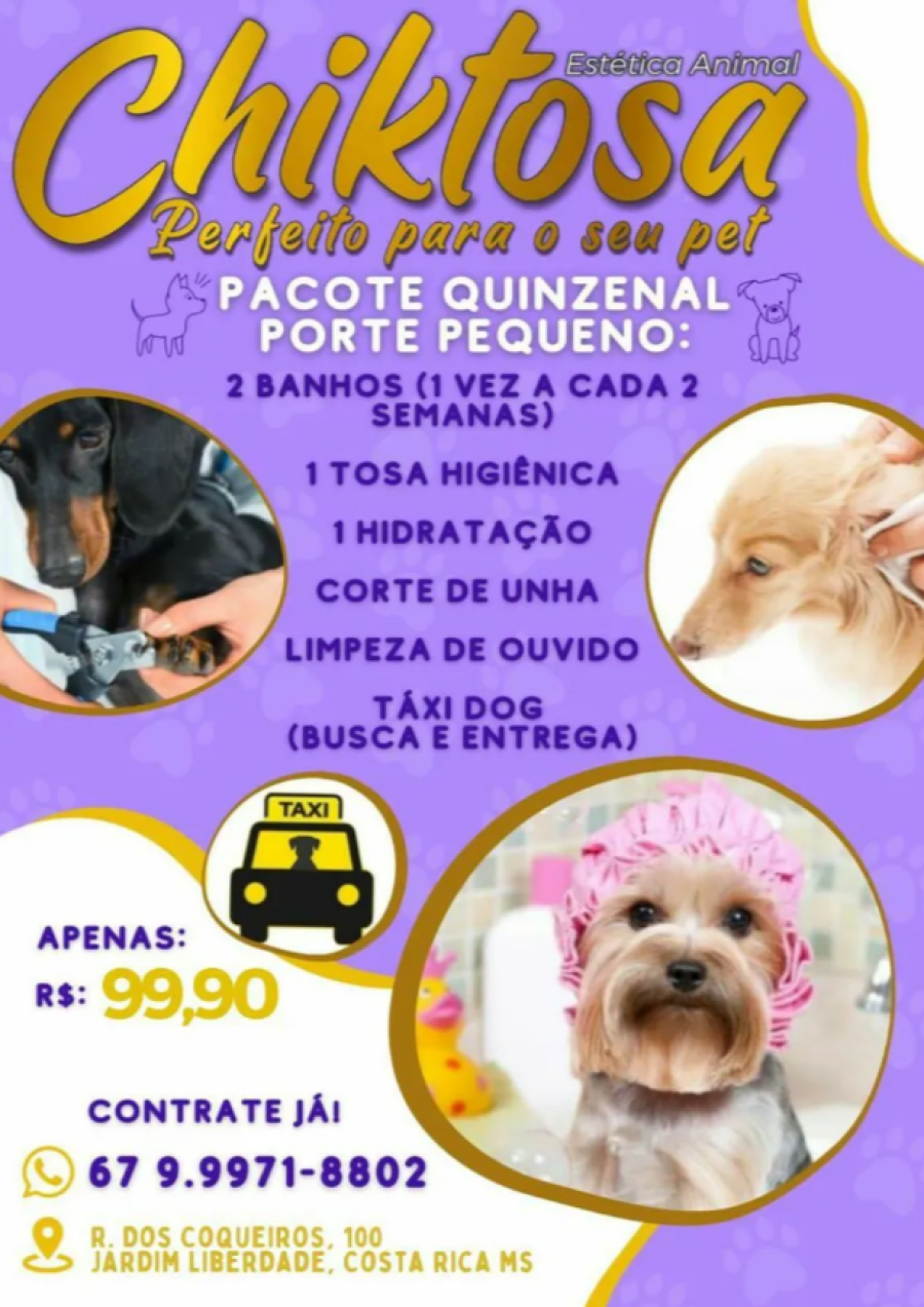Imagem Captura de tela 2024-08-02 172528